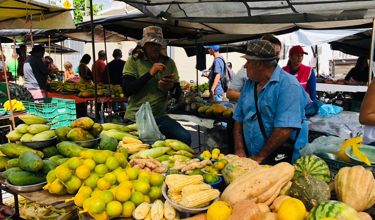 bancada de legumes numa feira